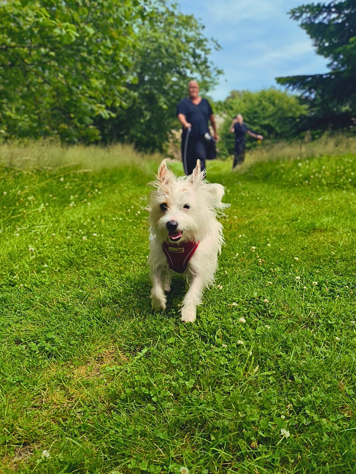 bonnie at scone palace the day before g's funeral. the sound she made when we arrived in the car…