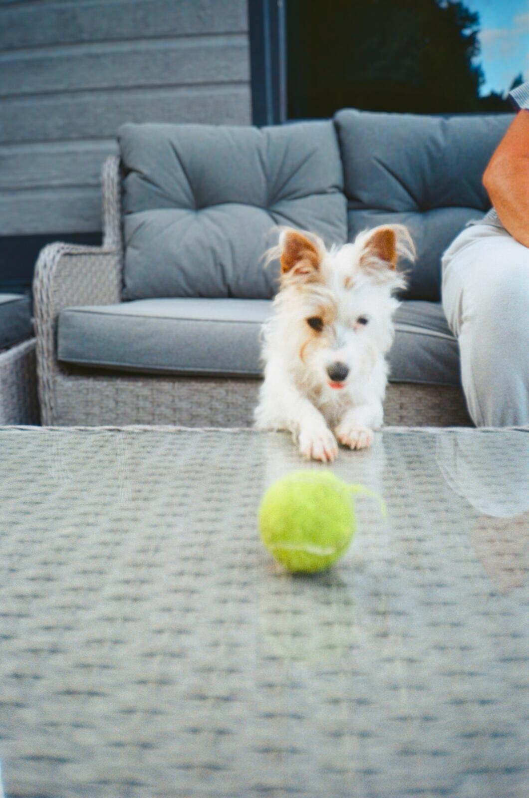 attempted portrait of bon providing further evidence for my need to control aperture & focus.