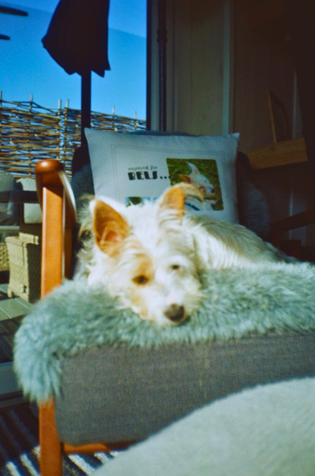 portrait of bon ii, with her also out of focus...
