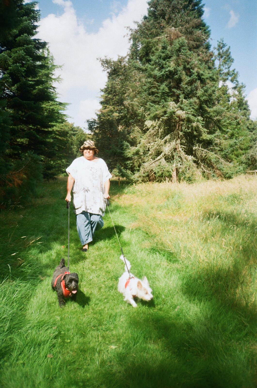mum at scone palace ii. again, skew-whiff & again, great sunlight.