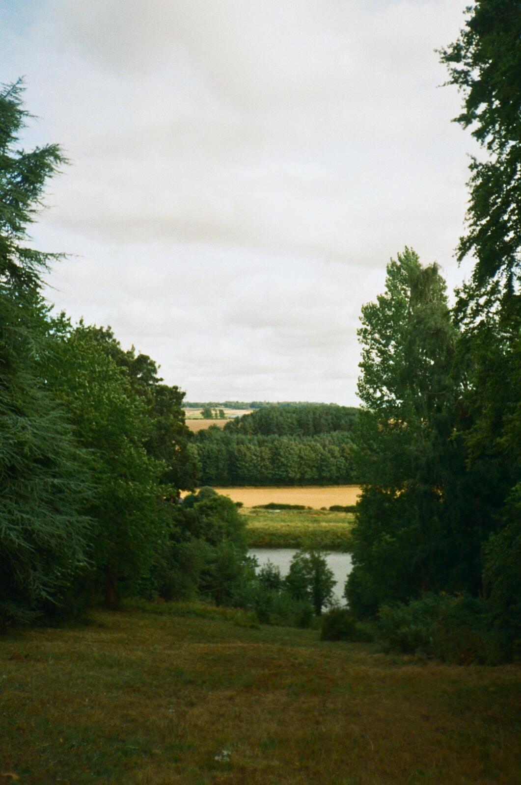 a view from mum's favourite bench where she'd sit, listen to the tree's whispers & gaze out to norham castle.